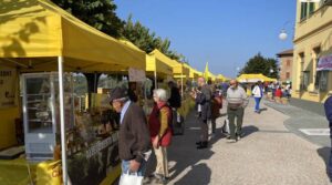 Fiera della Nocciola (Castellero)